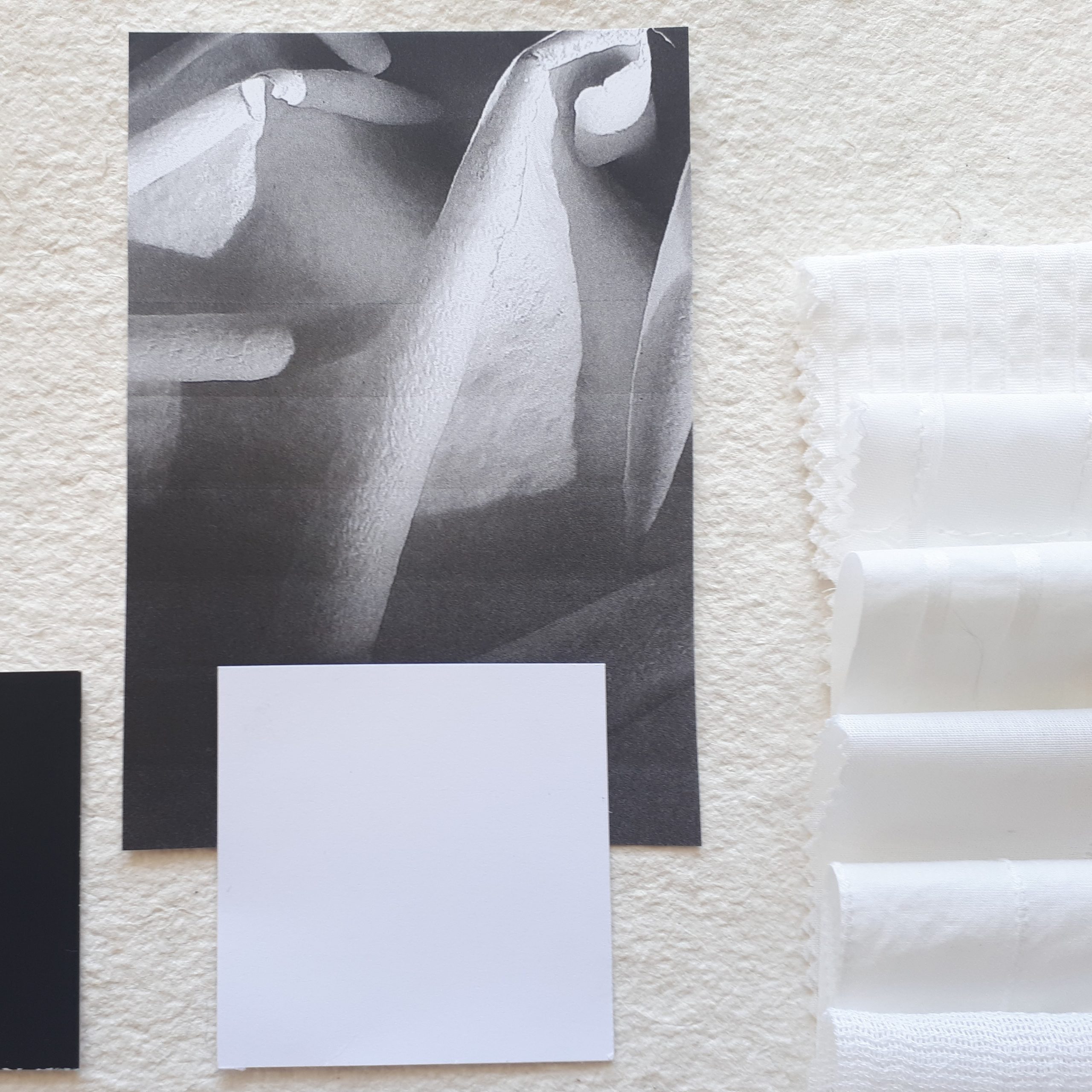 8.-20210811_105226-Kopie